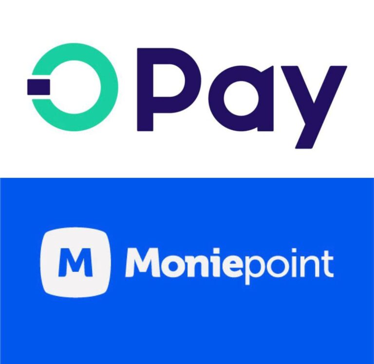 FG-Plans-Fresh-Regulations-For-Opay-Moniepoint-Others
