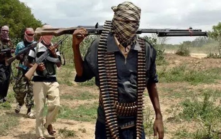 Screenshot_20240708-121950