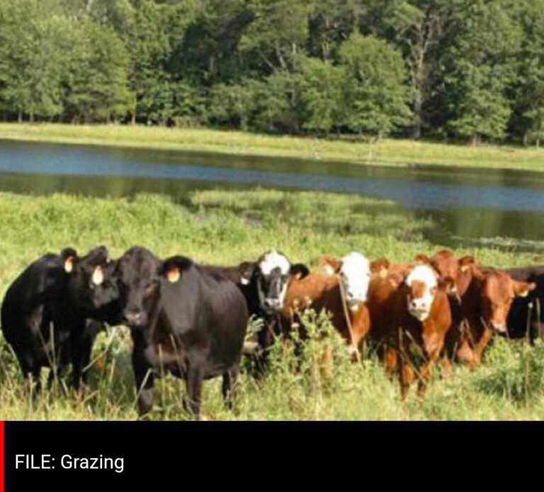 Screenshot_20240710-060014