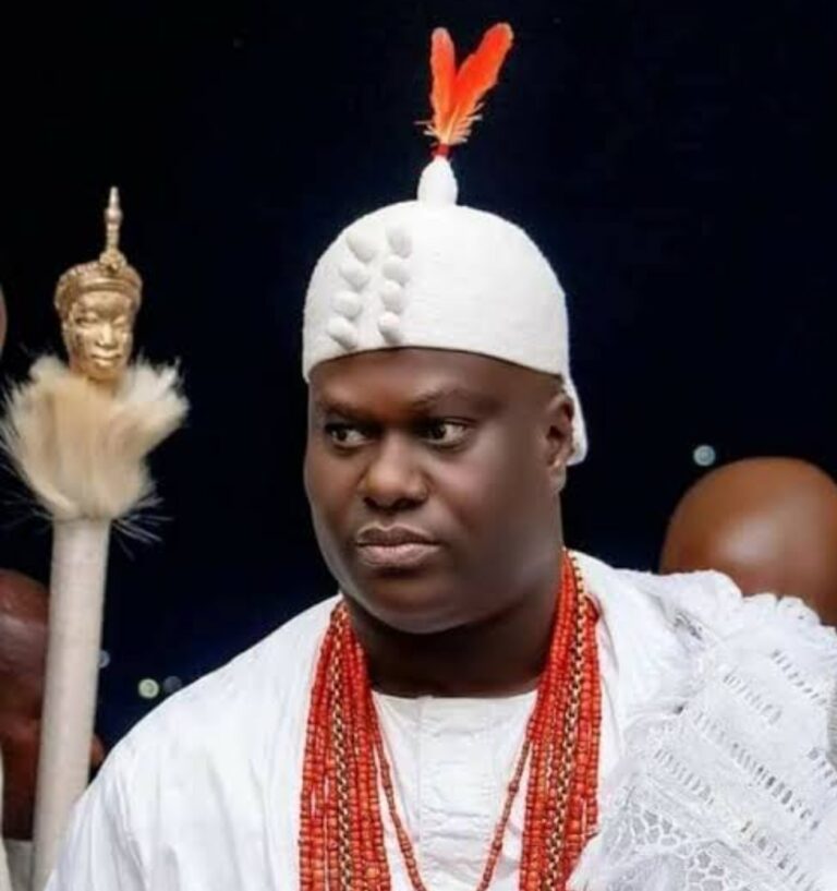 Screenshot_20240717-185956