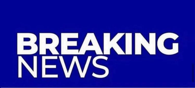 Screenshot_20241010-152040