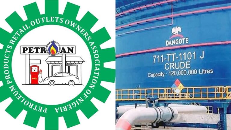 FB_IMG_1730535008646