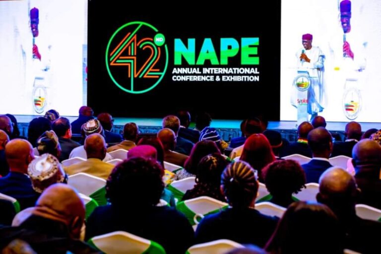 FB_IMG_1731418047915