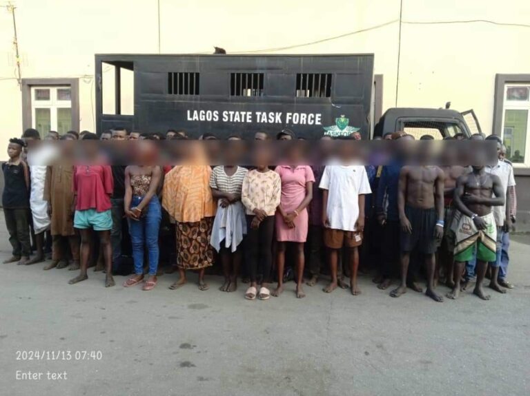 FB_IMG_1731500565914