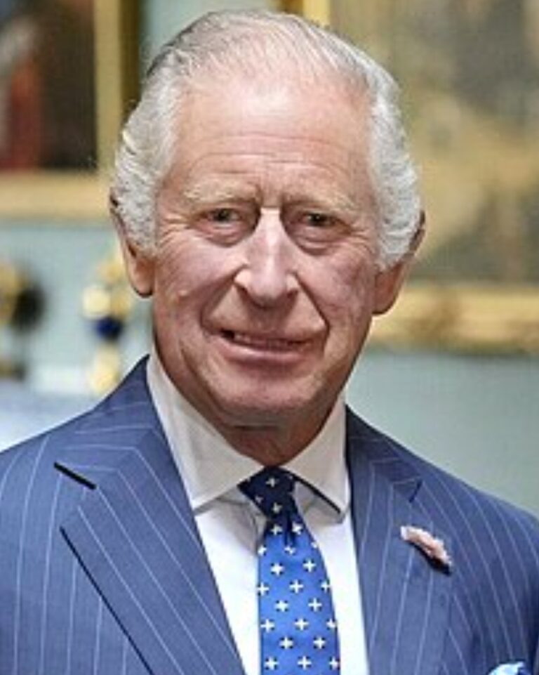 Screenshot_20241116-062802