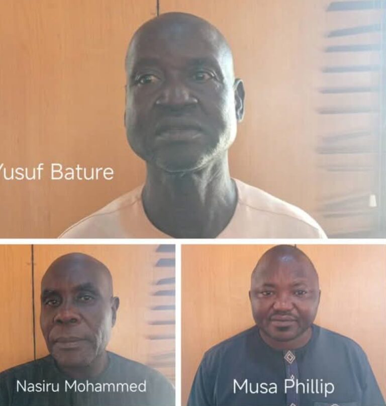 Screenshot_20241129-135214