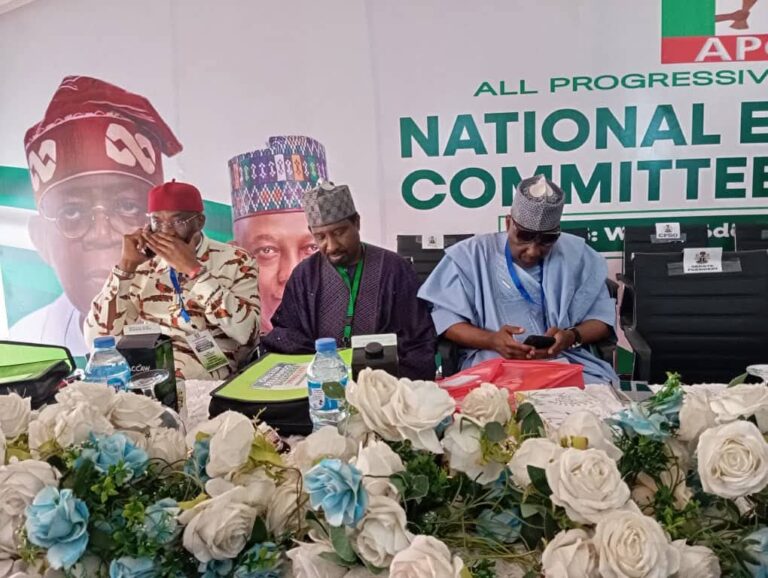 FB_IMG_1740574415222