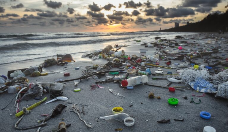 Screenshot_20250625-030526