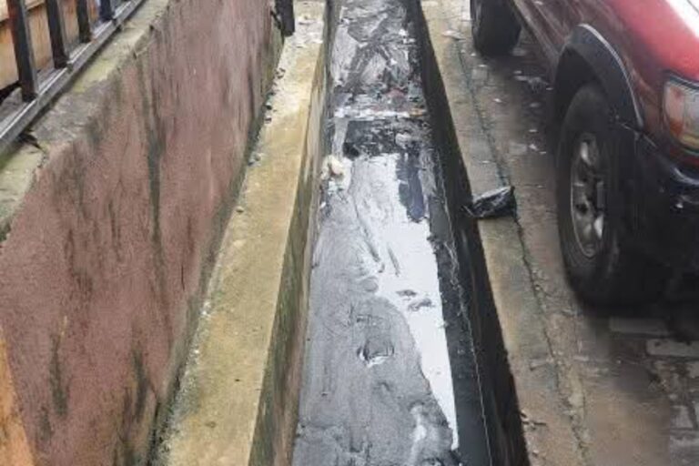 Screenshot_20250630-061805